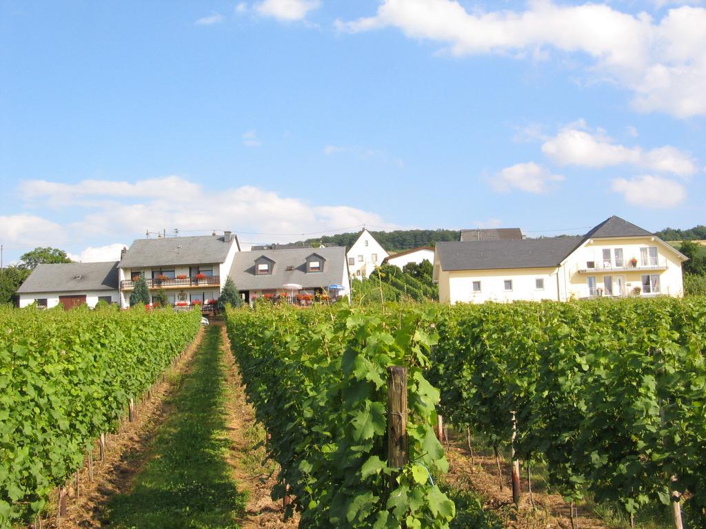 Pension Und Weingut Moselblick Brauneberg Luaran gambar